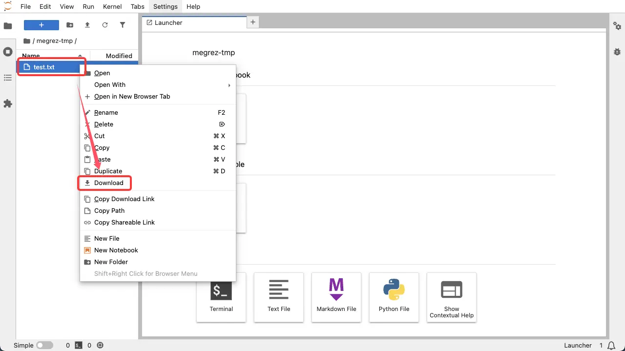 Jupyter Lab 下载数据